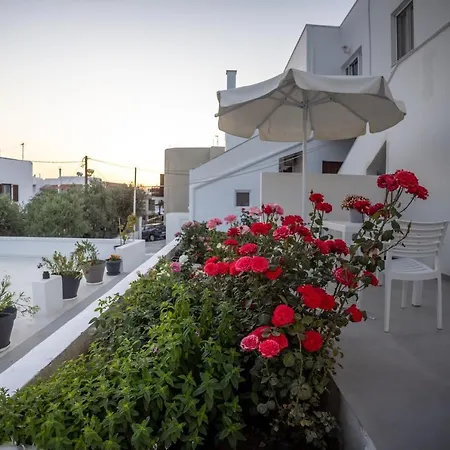 Olia Garden In Naxos Town *